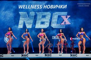 WELLNESS НОВИЧКИ